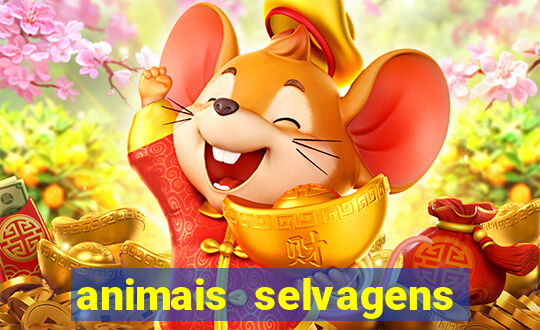 animais selvagens fotos e nomes